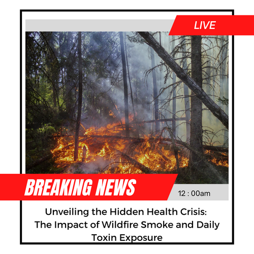 California Wildfires and Reflections on Toxin Exposure in the Environement