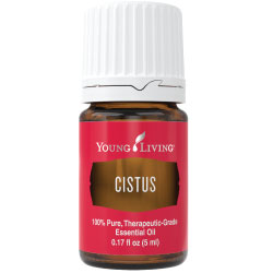 Cistus Oil