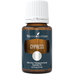 Cypress Essential Oil | Essential Oil For UTI | The Pelvic Floor Store