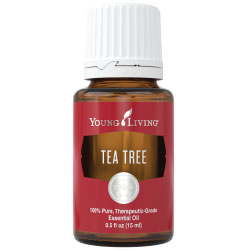 Tea Tree Essential Oil | Natural Antiseptic | The Pelvic Floor Store