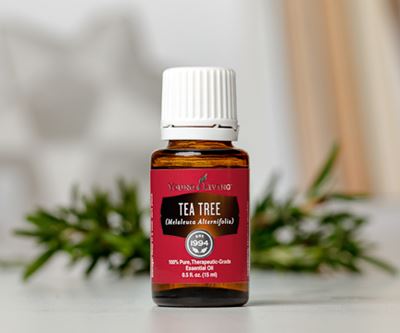 Aceite esencial de árbol de té