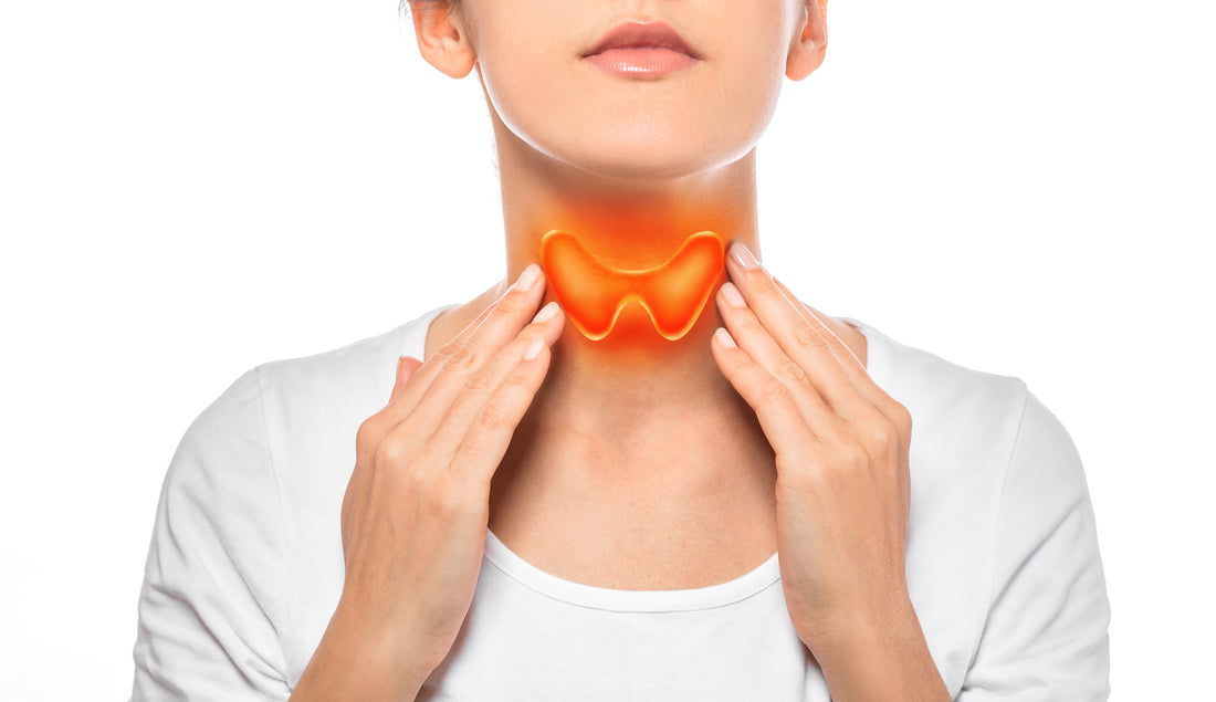 Thyroid -Pelvic Connection