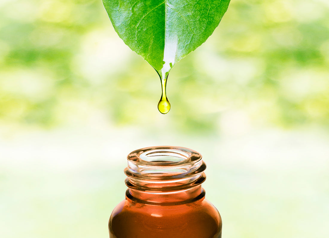 Natural Oils as Intimate Lubricants: A Dive into Nature's Gifts